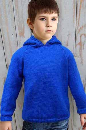 Boys 2025 hooded sweater